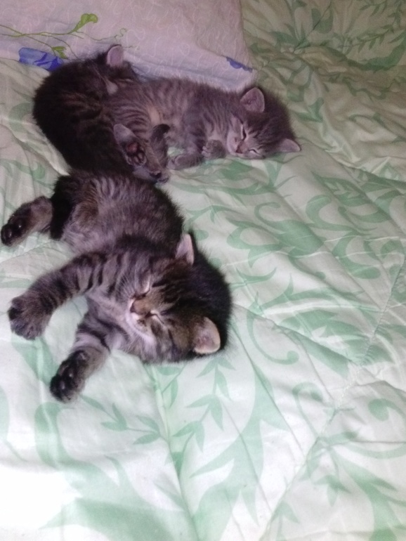 девочки с ижевска или рядом!