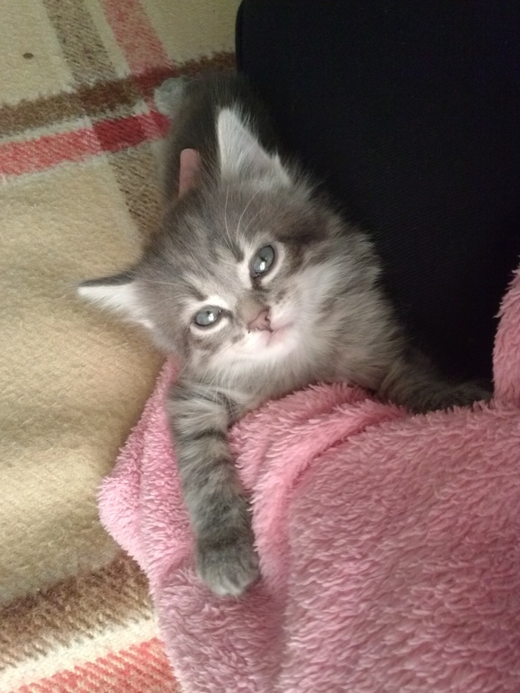 девочки с ижевска или рядом!