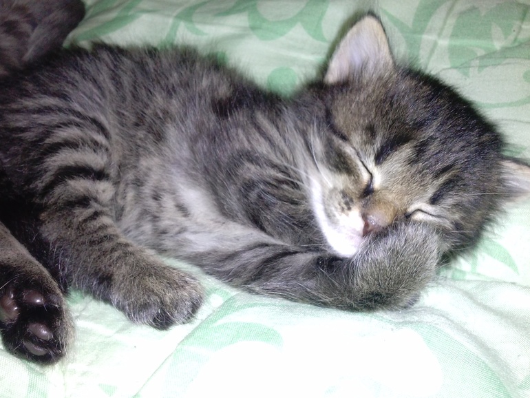 девочки с ижевска или рядом!