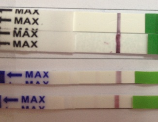 Глазастенькие, отзовитесь!