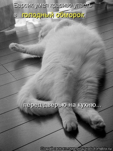 посмеемся?