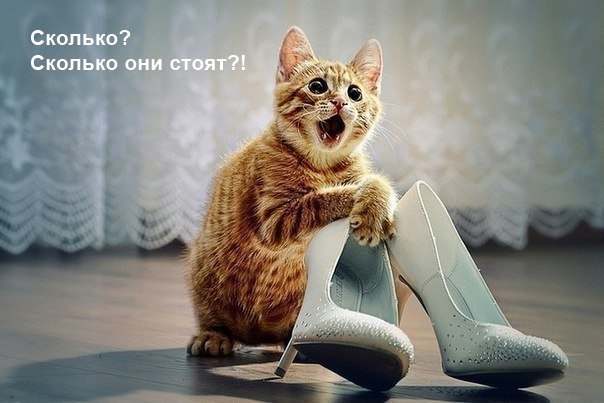 посмеемся?