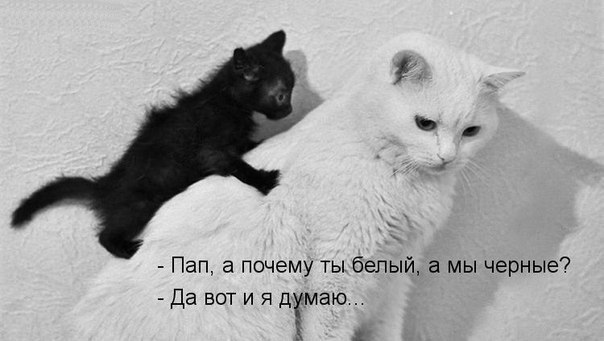 посмеемся?