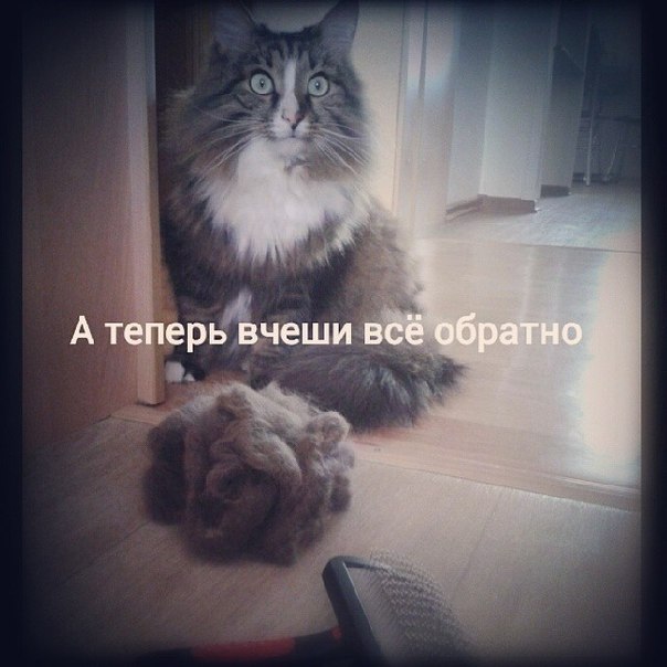 посмеемся?