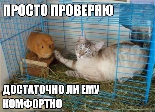 посмеемся?