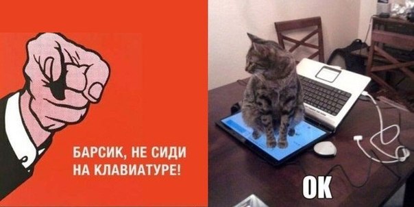 посмеемся?