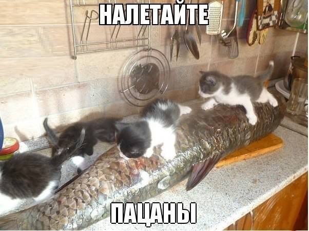 посмеемся?