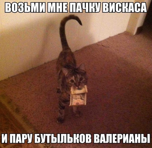 посмеемся?