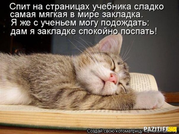 посмеемся?