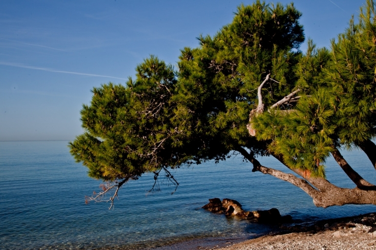 Апартаменты с видом на море в Черногории