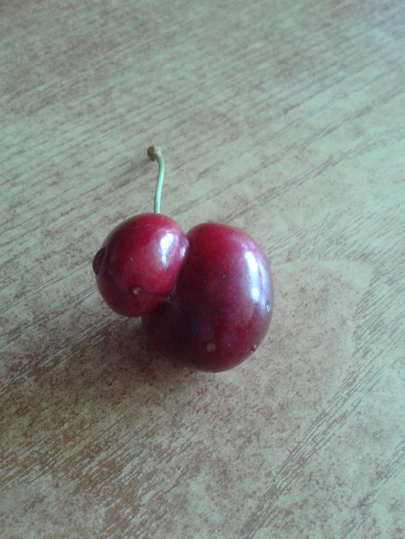 Беременная черешня)))