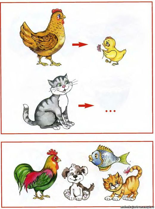 Опять логика!)))