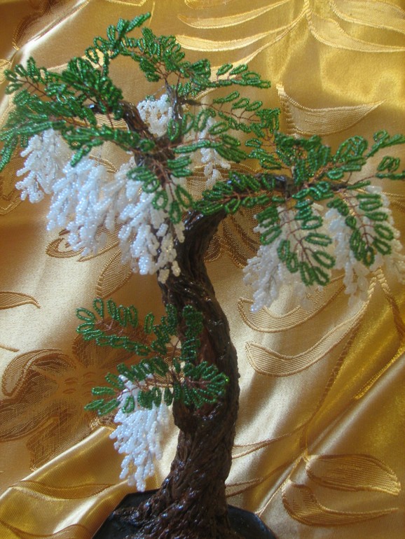 Белая глицыния