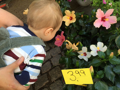 Отчет по занятию