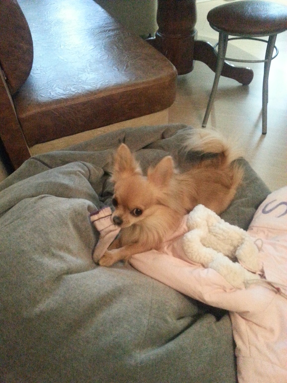 Подгон от подружки.