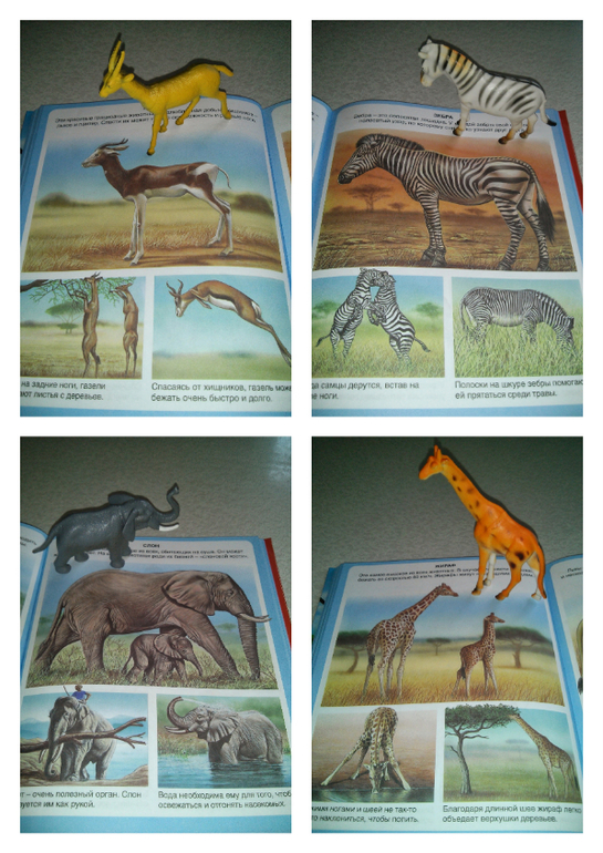 Наши игры с животными)