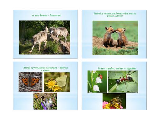 Тематическое занятие Весеннее солнышко