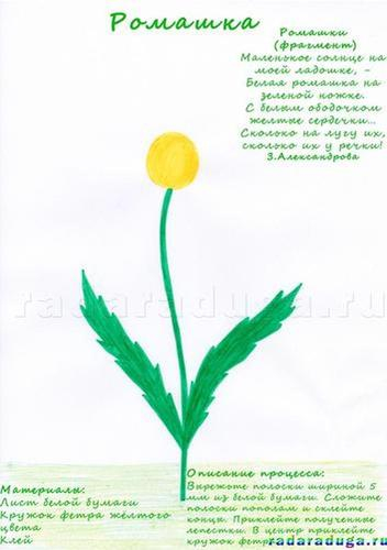 Летний альбом. Часть 1. Цветы. Творчество.