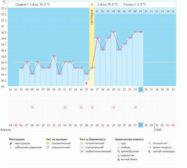 Девочки, подскажите по результатам УЗИ!