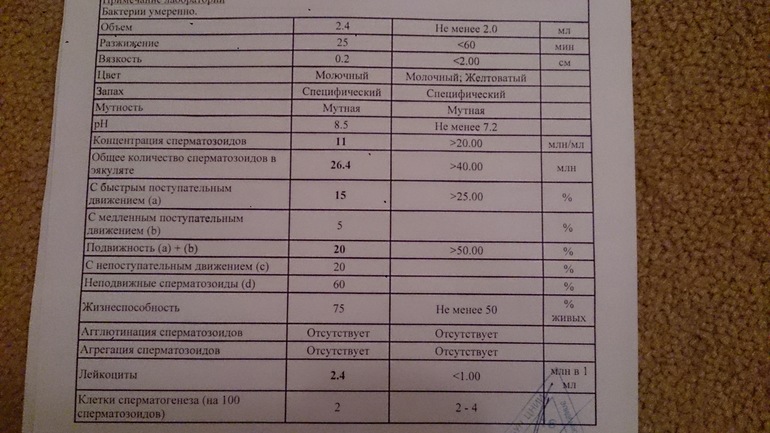 СГ или пока до врача доживешь -поседеешь)) девочки, посмотрите, пожалуйста