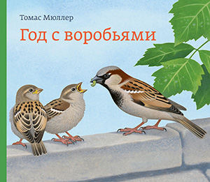 Новинки издательства