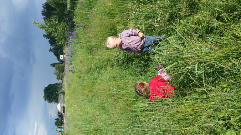 Почти месяц на даче..