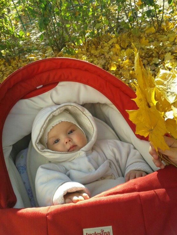 растем: 7 месяцев