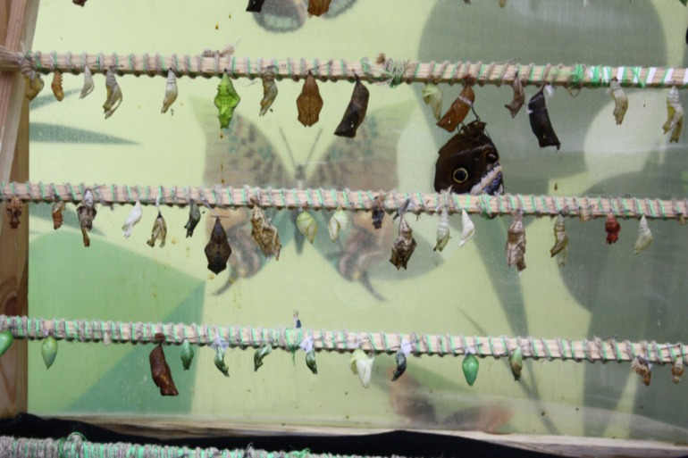 Насыщенный вышел денёк!!!