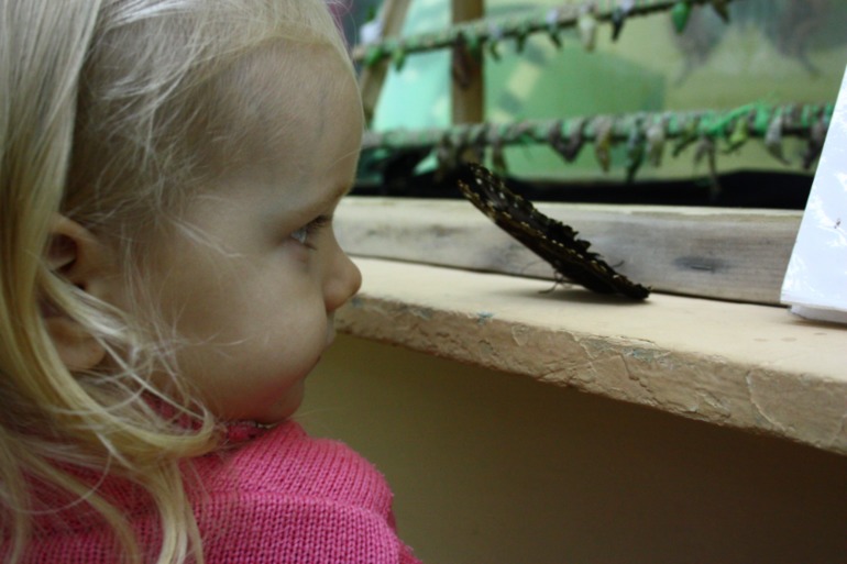 Насыщенный вышел денёк!!!