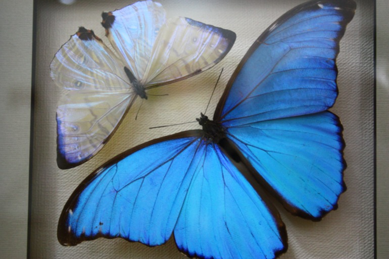 Насыщенный вышел денёк!!!