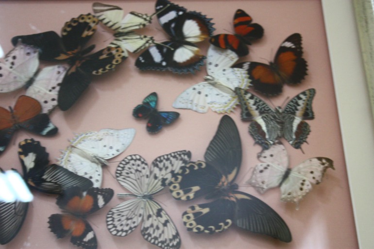 Насыщенный вышел денёк!!!