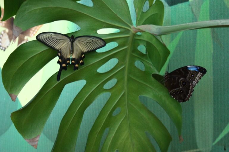 Насыщенный вышел денёк!!!