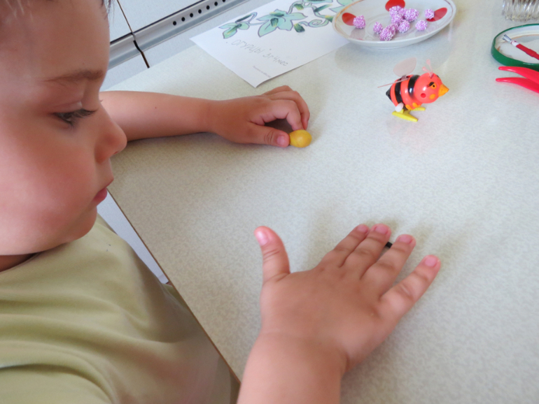 ТН "Как растут овощи" Отчет день 4