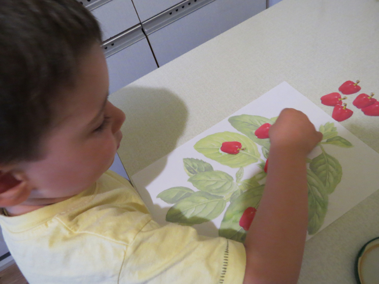 ТН "Как растут овощи" Отчет день 3