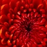 Давайте худеть к лету! Таблица 7й недели!