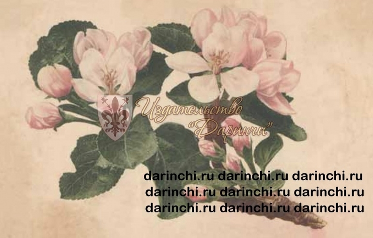 Винтажные открытки издательства