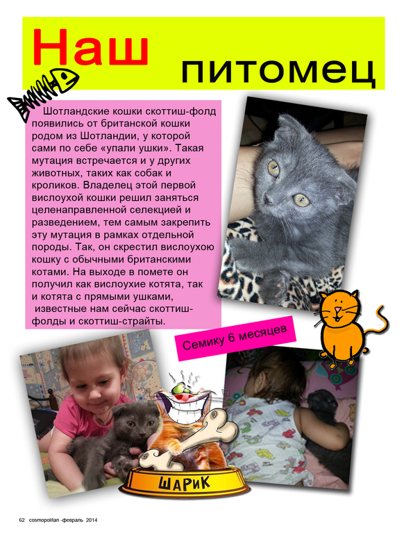 Подарок подруге на Юбилей!