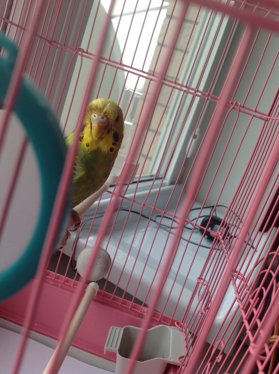 Помогите определить пол!