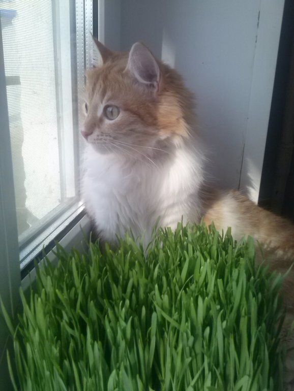 Знакомьтесь! Матильда!