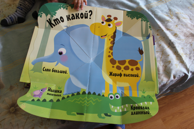 Наша книжная полка