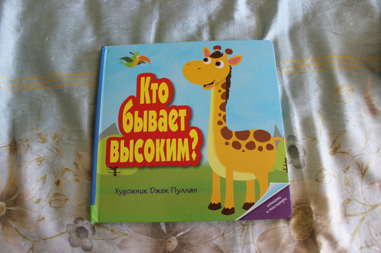 Наша книжная полка