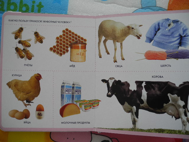 Наш дневник читателя 1 год и 10 месяцев. Часть 1.