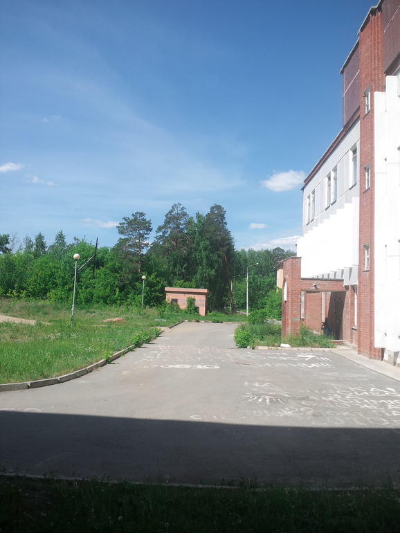Сдалась