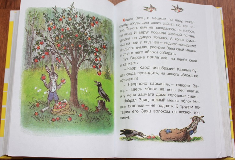 Наши книжечки или что мы читаем в год и 11 мес.