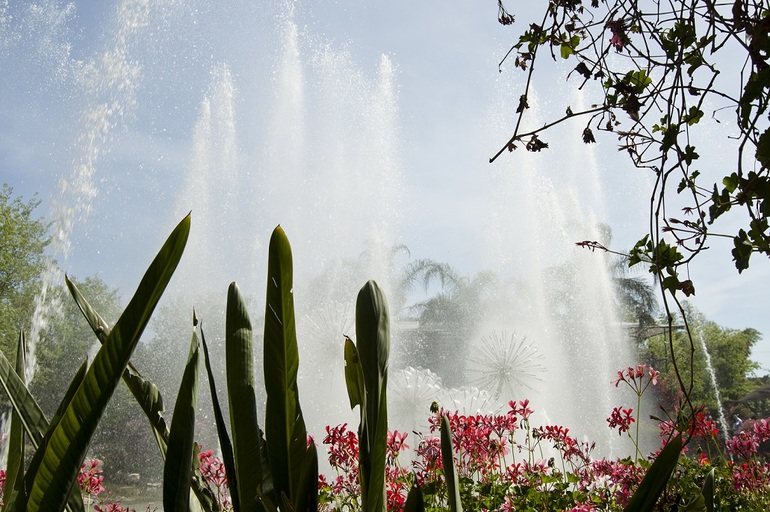 Утопия,парк орхидей в кибуце Бахан.