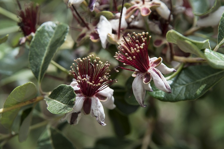 ...По ягоды... =)