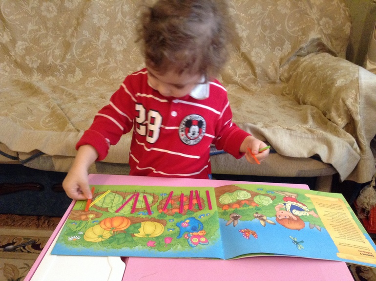 Овощи. Фрукты. Ягоды.