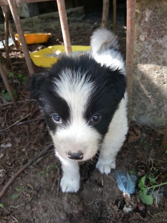 ОЧЕнЬ НУЖНА ПОМОЩЬ! ПОМОГИТЕ !