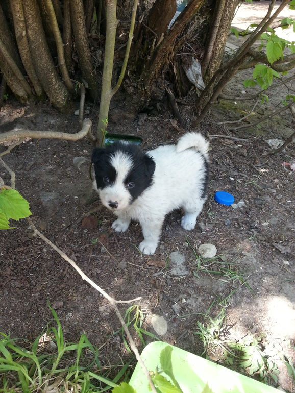 ОЧЕнЬ НУЖНА ПОМОЩЬ! ПОМОГИТЕ !