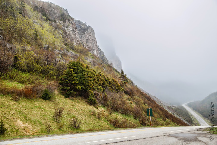 С ветерком по Nova Scotia